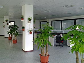 宁波商业空间装修指南 办公室、门面与店面施工要点解析